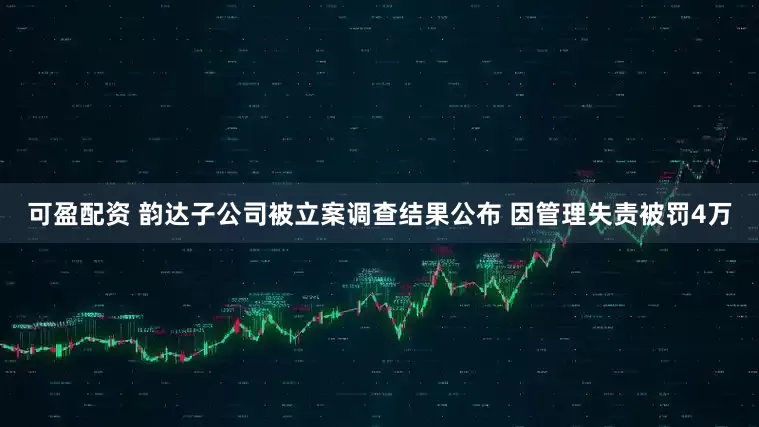 可盈配资 韵达子公司被立案调查结果公布 因管理失责被罚4万