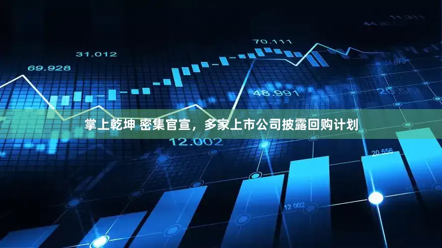 掌上乾坤 密集官宣，多家上市公司披露回购计划