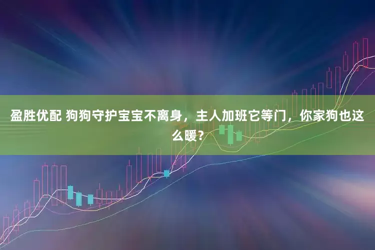 盈胜优配 狗狗守护宝宝不离身，主人加班它等门，你家狗也这么暖？