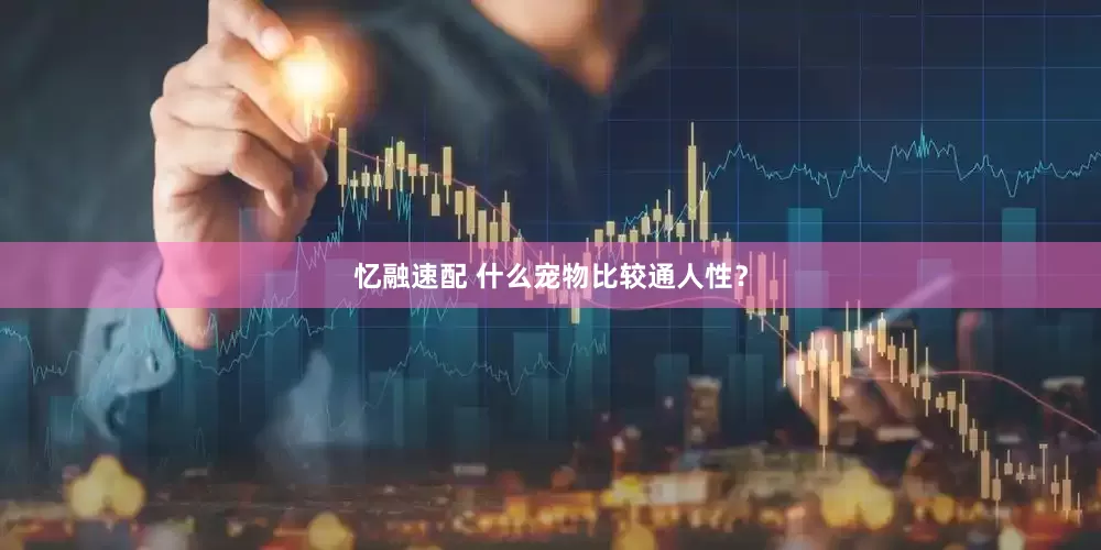 忆融速配 什么宠物比较通人性？