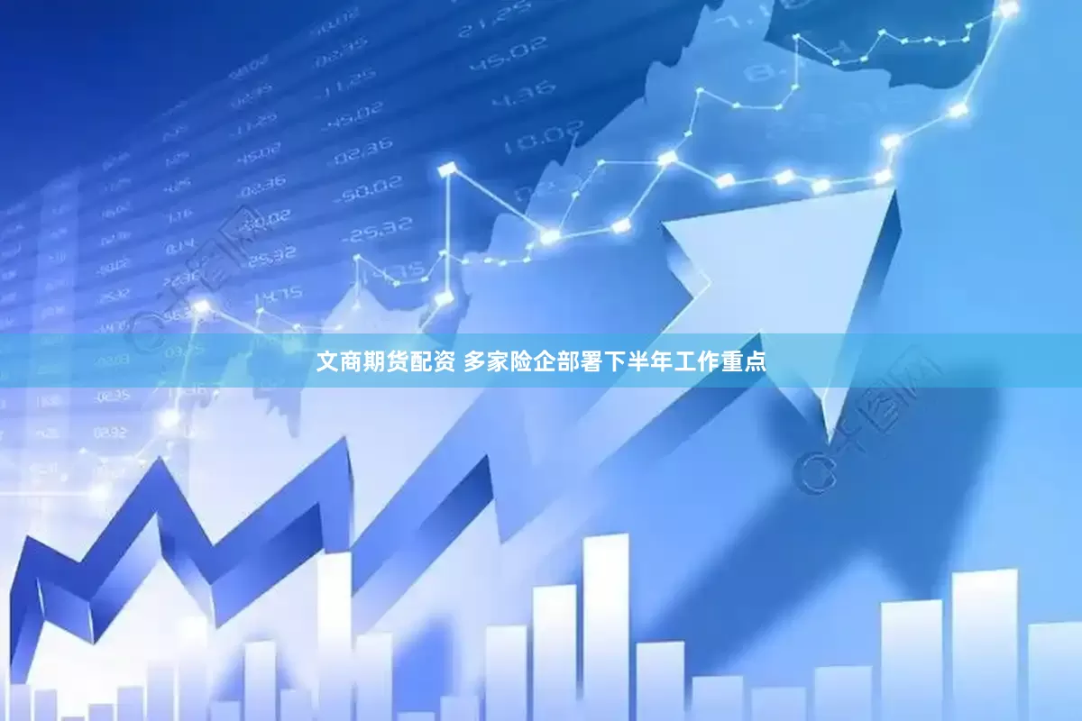 文商期货配资 多家险企部署下半年工作重点