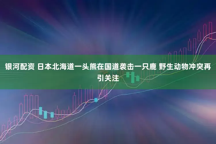 银河配资 日本北海道一头熊在国道袭击一只鹿 野生动物冲突再引关注