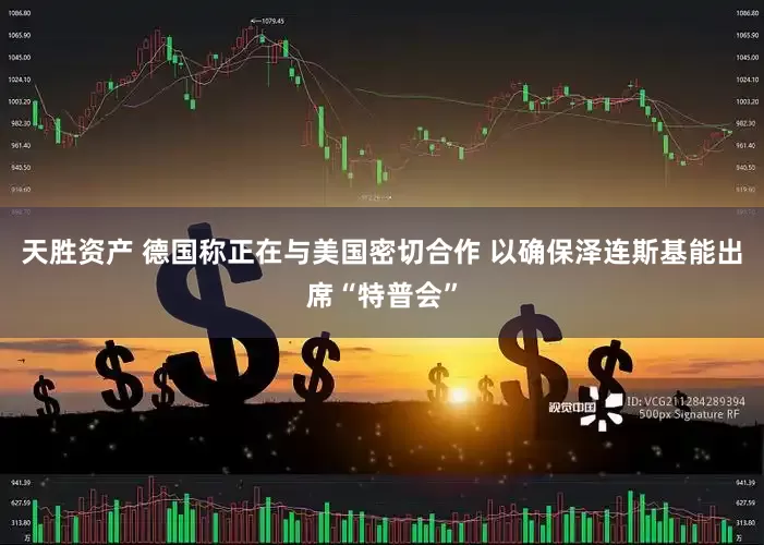 天胜资产 德国称正在与美国密切合作 以确保泽连斯基能出席“特普会”